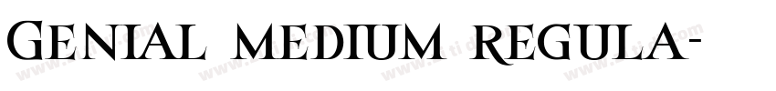 Genial medium regula字体转换